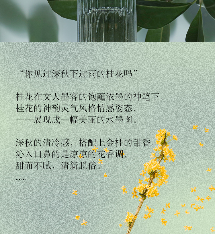 桂花_02.jpg