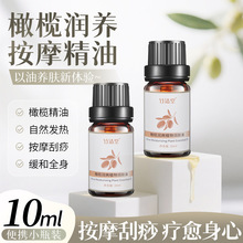 �ϙ읙�B��Ħ��������ԺĘ����Ħȫ������ϴ���͹����_���������l