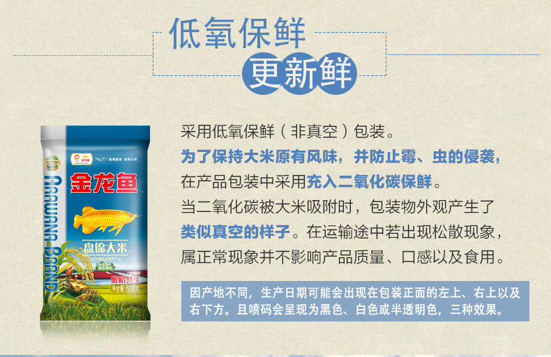 20201013金龙鱼盘锦大米500G电商文描(插画版)翼虎