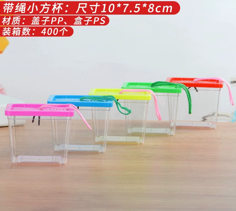 Transparent plastic pet box / small aquarium, portable ventilated tank, multiple sizes 10×7.5–39×28×17 cm