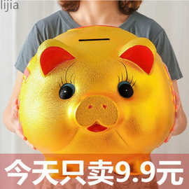 储钱进不出只纸币硬币储蓄罐成人金猪存钱罐年男孩子儿童新款