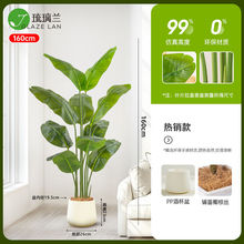 �������˽�������Ա��W���͸ߙn�҃ȿ͏d�ҕ���[���b�Ʒ�پGֲ