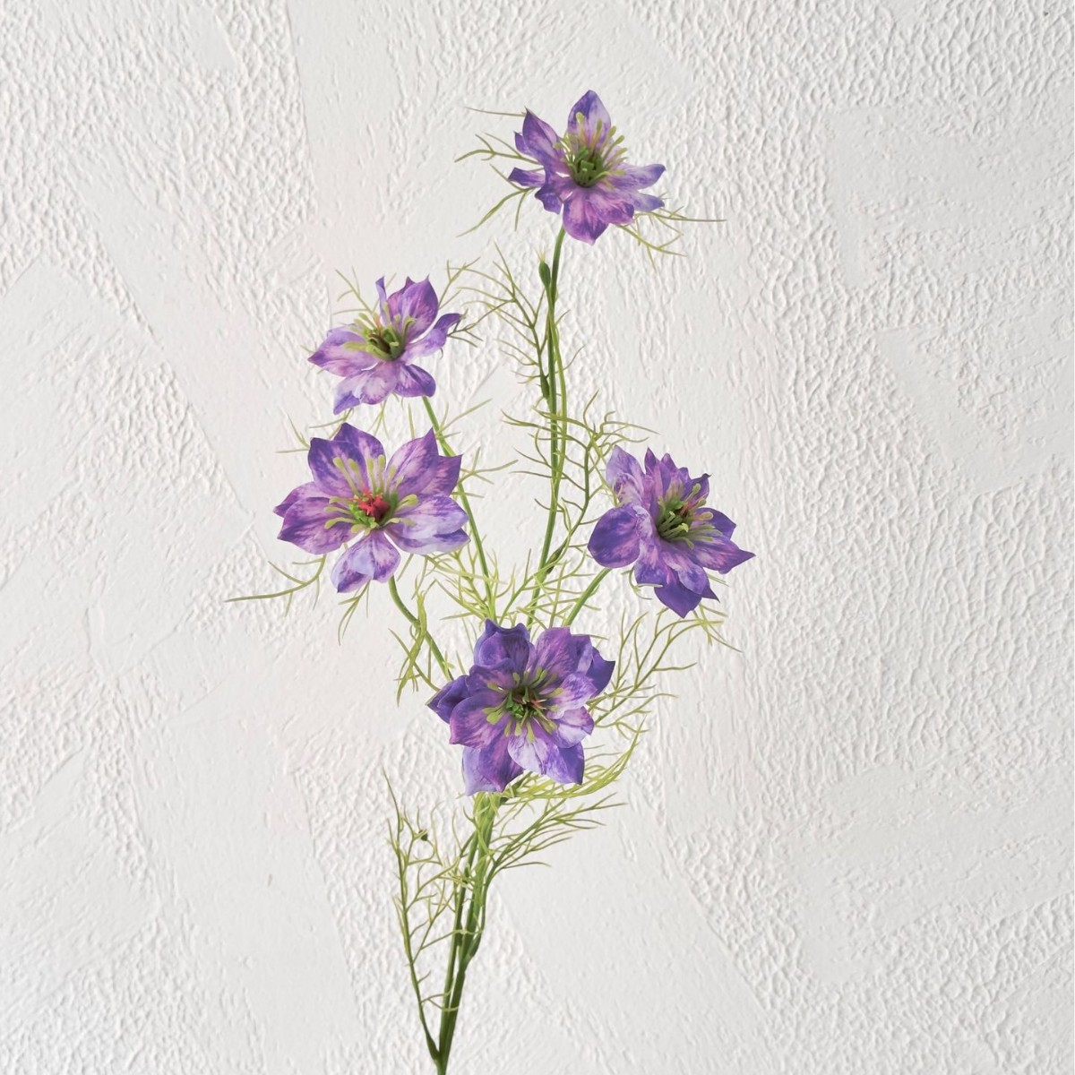 Hierba negra púrpura