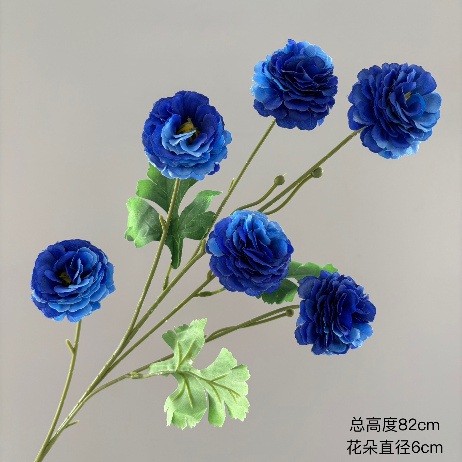 라일락 6개(사파이어 블루)
