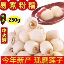 新货去芯莲子250g/袋 干货湘莲去芯磨皮白莲子批发 非建宁农产品