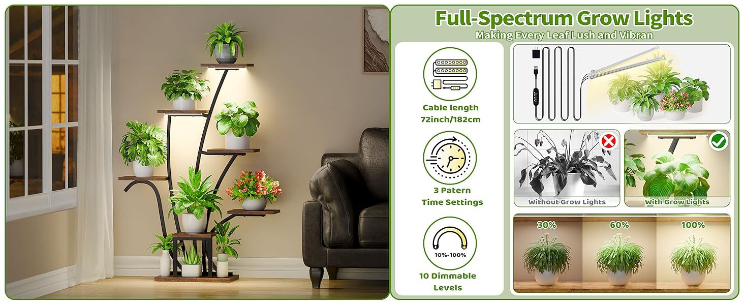 Plant Stand Indoor