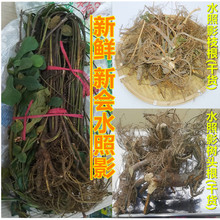 rˮӰ֦^؛ˮӰҜʳraƷخa