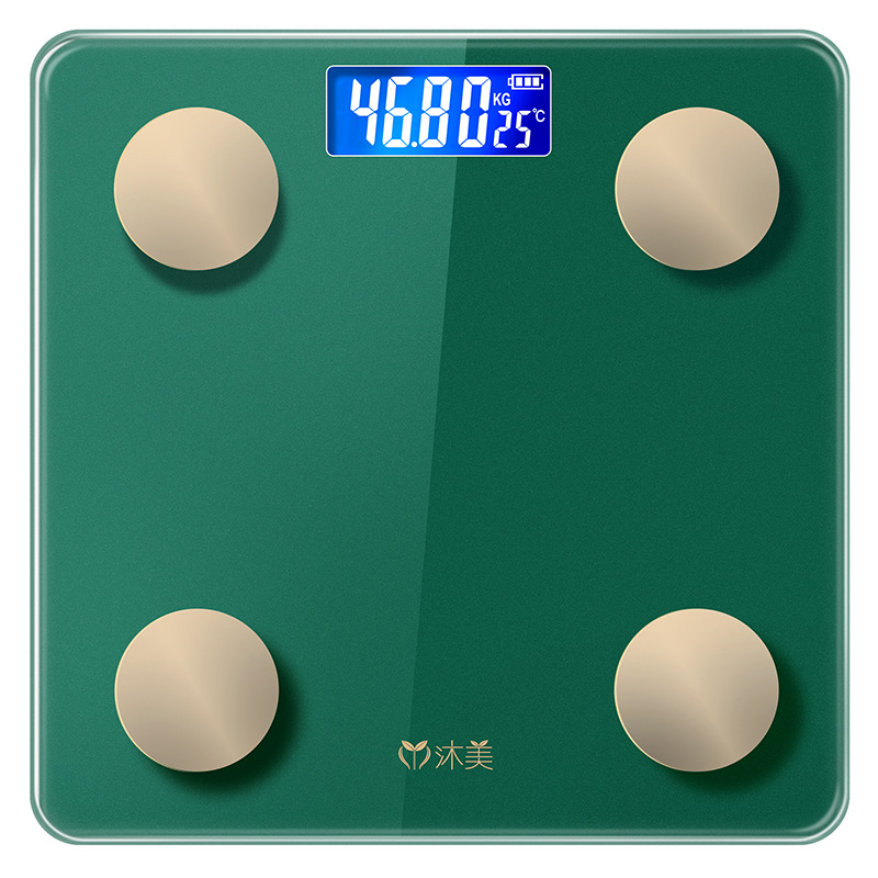 Green rechargeable weight scale