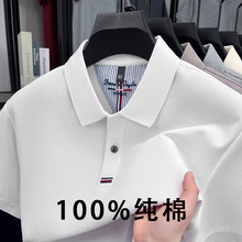 100%纯棉翻领poloT恤跨境休闲男装宽松打底体恤衫上衣男装短袖男t