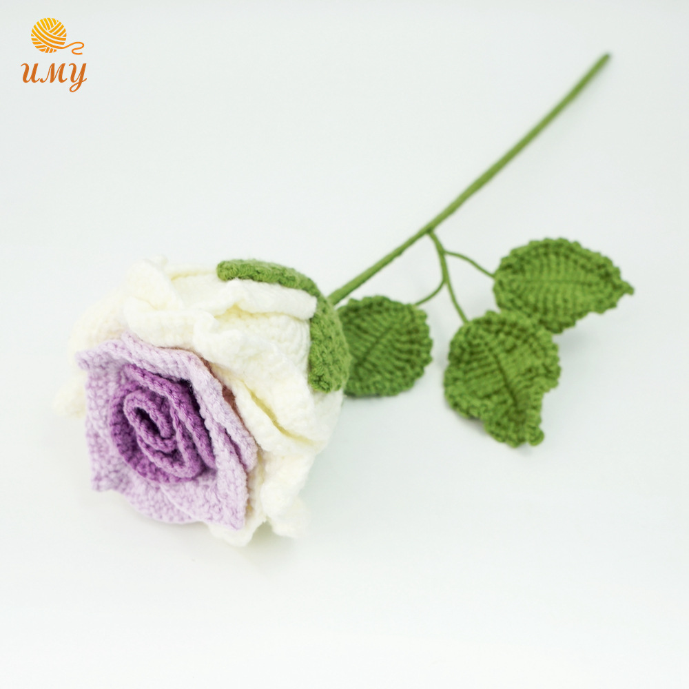 퍼플 화이트 로즈