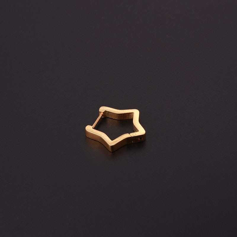 Ear Cartilage Rings & Studs Fashion Geometric 316 Stainless Steel  Plating display picture 13