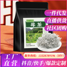 花草茶莓茶正宗张家界高山土家芽尖莓茶浓香型茶叶袋装60g