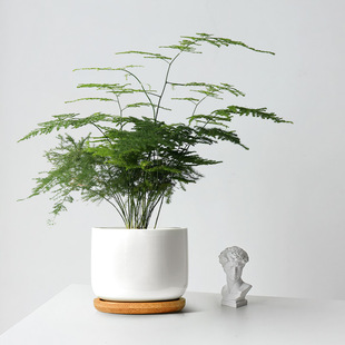 ���������辰�Gֲ�҃ȿ͏d�����k��������Gֲ���B�ļ�ֲ��С����