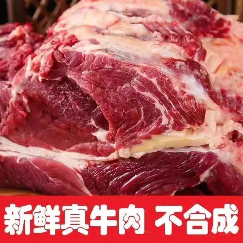 鲜牛肉批发5斤新鲜现杀散养黄牛原切拼接不注水黄牛肉火锅生鲜3斤|ms