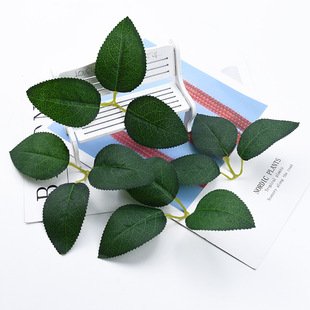 �·���õ���~ ��֦���~õ��֦�� ĵ���~�ٺϻ��~����ֹ�DIY�S��