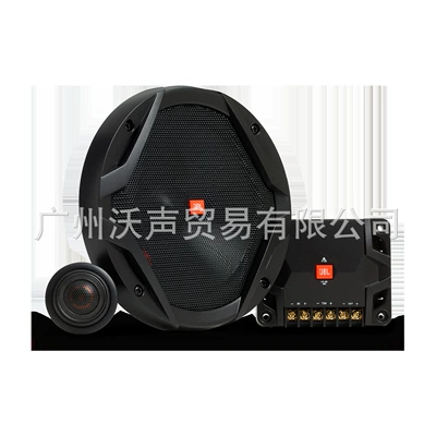 Car speaker/subwoofer Speaker with Vocal and