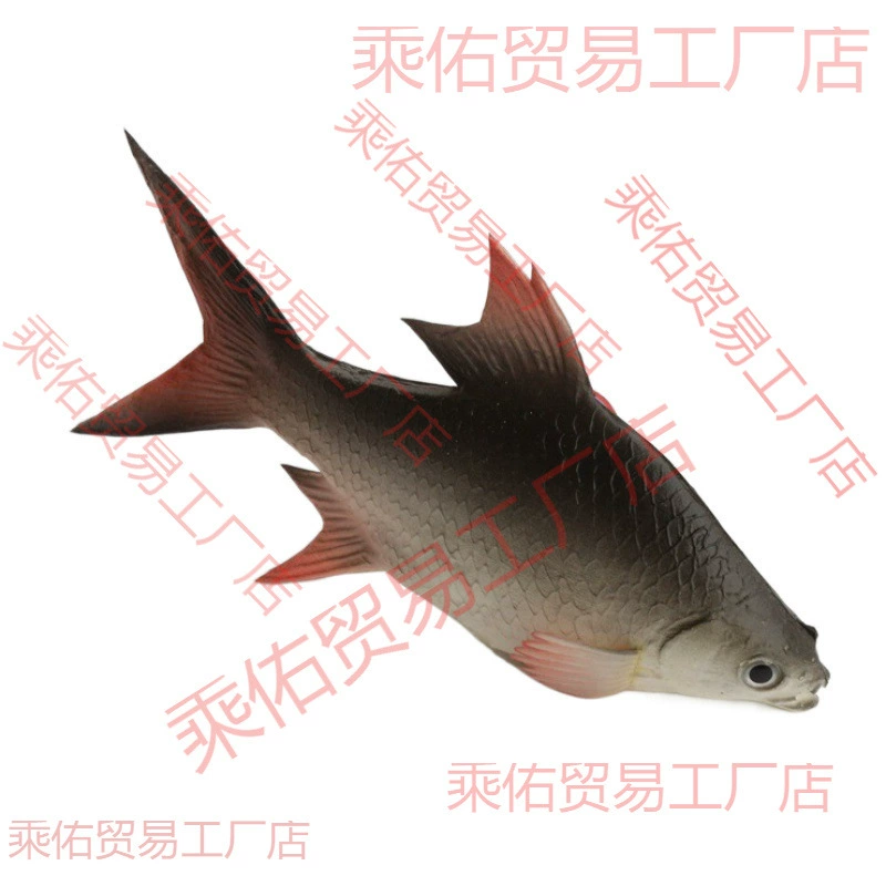 Fake fake fish simulation fish carp fake fish model fake 1 simulation landscaping and decorative plastic set furnishings will tour gold fish