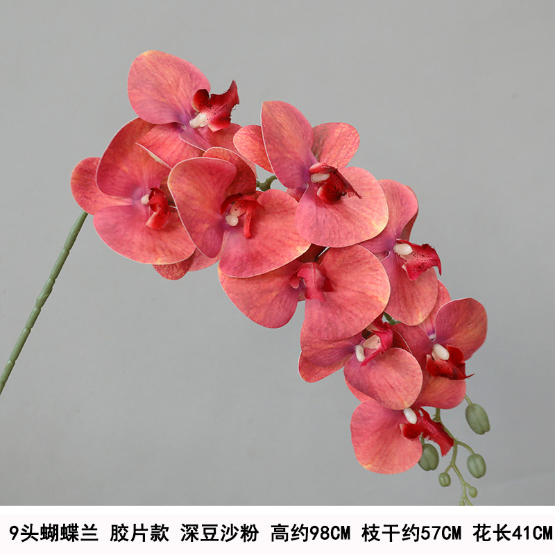 9-head film waterproof phalaenopsis-dark bean paste "thickened"