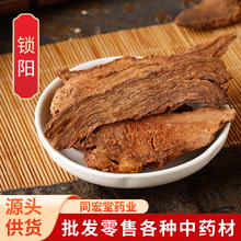 锁阳中药材批发锁阳片大漠双雄锁阳肉苁蓉泡酒料量大代打锁阳粉