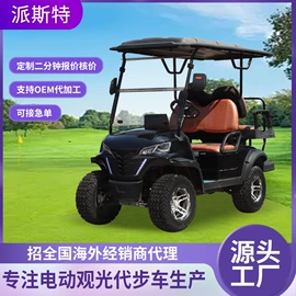 电动观光车;其他电动车;工具车