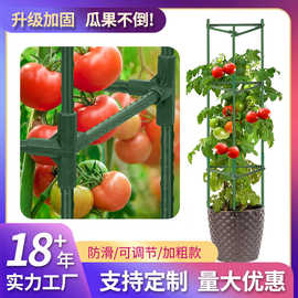 跨境批发农用番茄笼攀爬支架户外植物园艺包塑钢管月季豆角爬藤架
