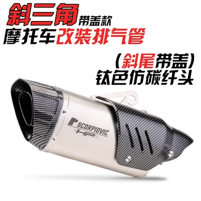 pipe modified GSX250 spring: Exhaust pipe - tilted-triangle-tail-titanium-imitation-carbon-head-imitation-cover