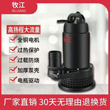 电瓶车直流污水泵12V48V60V72V化粪池家用农用农田灌溉抽水潜水泵