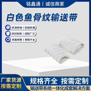 定制白色鱼骨花纹输送带表面平整好清洗食品加工配套输送传动皮带