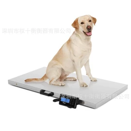 电子秤;手提秤;厨房秤