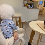 Осенне-зимний свитер для домашних животных, теплый вязаный кардиган для маленьких и средних щенков Тедди Бишон Померанский шпиц, одежда для кошек и собак