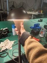 ����Ҽ�ϑ���Ģ����ƺ�����@ͥԺ�b���\��·���X�Ĳ��P�