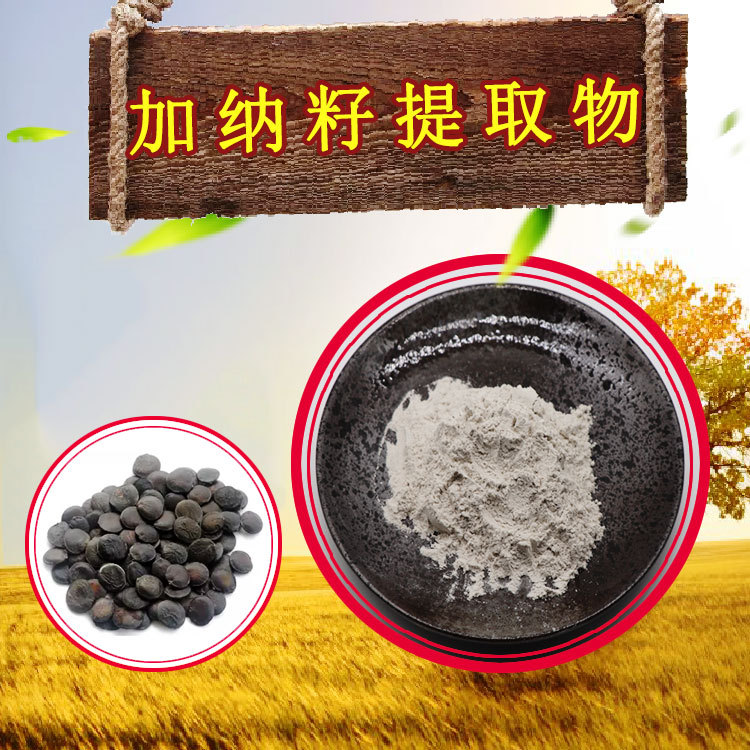 加纳籽提取物98%藤迈推荐56-69-9现货直发100g/袋 5-羟基色氨酸