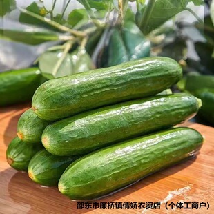 ���m�S�ϷN�ӟo��ˮ���S���ļ�����С�ີС�S�ϷN���߲˷N������