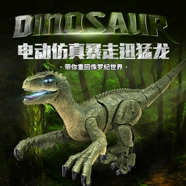 遥控车;电子宠物