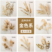 c滨ɫϵy~ȼYò廨·bͰٻ