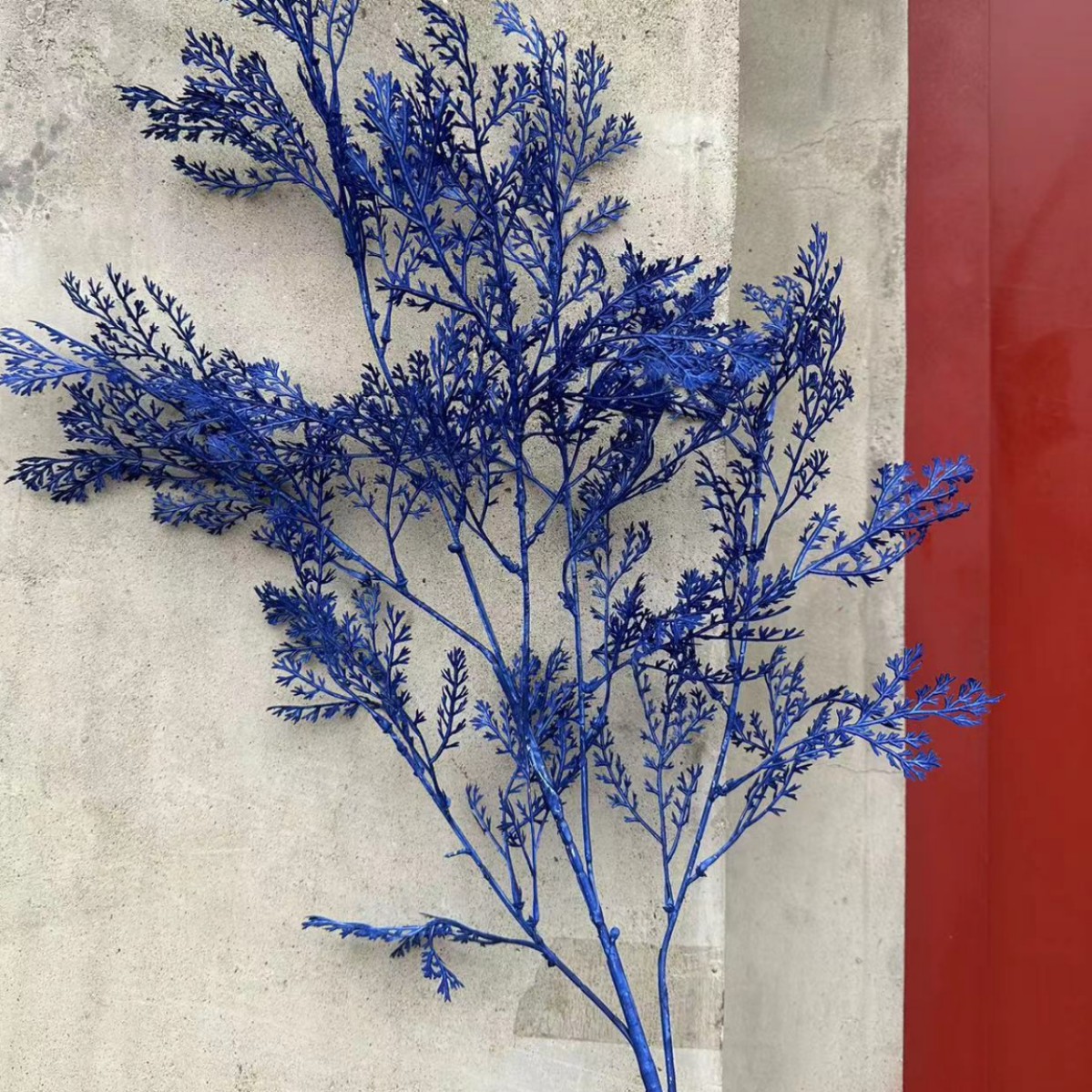 Royal blue