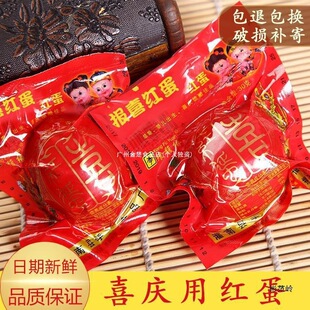 �����Y��t���Ӽt�u���M���l����ɢ�bϲ���u���ǌ������ֶY����