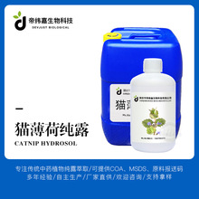 大量批发猫薄荷纯露 猫薄荷提取液 Catnip提取物 厂家货源
