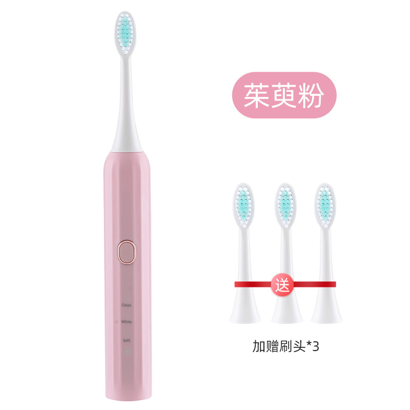 코누스 officinalis 분말