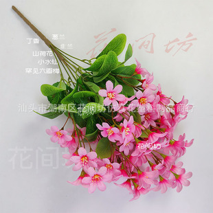 �羳���汱�W���Ļ��L����ʯ�⻨������c�������Y��zӰ���߼Ҿ�
