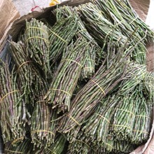 新鲜铁皮石斛铁皮枫斗现货批发无残渣紫皮水草石斛