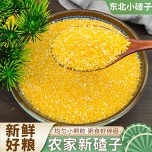 玉米碴大碴子小碴子农家笨碴子碎小粒苞米糁棒子糁细包谷米玉米粥