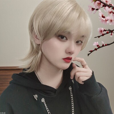 狼尾头假发男短发全头套式日系鲻鱼头化纤全头套现货厂家一件起订