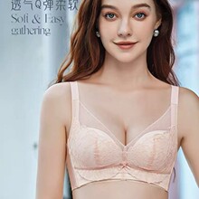 2325-1迷情夏季睫毛蕾丝内衣女无钢圈丝滑透气滑滑杯小胸聚拢文胸