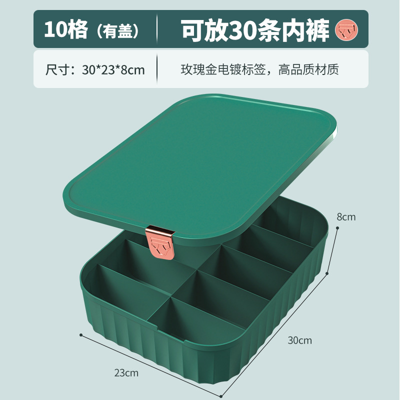 Caja Organizadora de Ropa Interior con Tapa de Plástico Con Compartimentos para el Hogar image 11