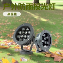 园林亮化庭院外墙灯大功率led户外草坪灯插泥照树灯
