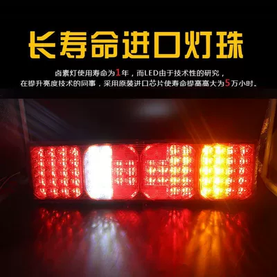 Tail Light Assembly Reversing | Tail light