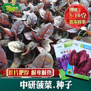 �t���˷N���̨�����׷N�ϲ��˷N���̨���� �ͺ����ļ���