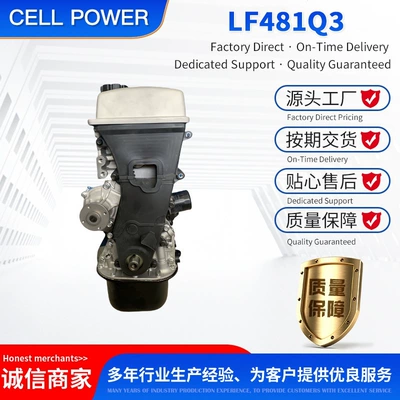 Engine assembly Lifan Lf481Q3 Gasoline