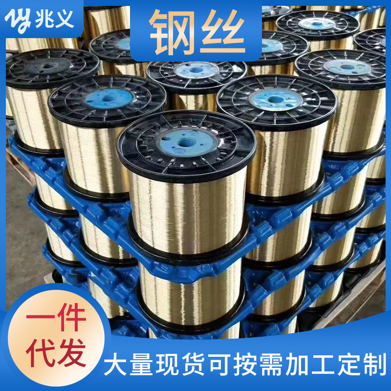 0.3胶管软轴钢丝弹簧软管厂家批发0.28 0.25铁丝